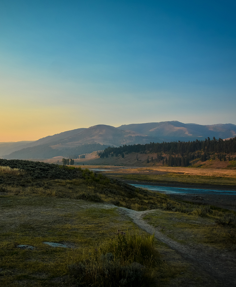 Yellowstone