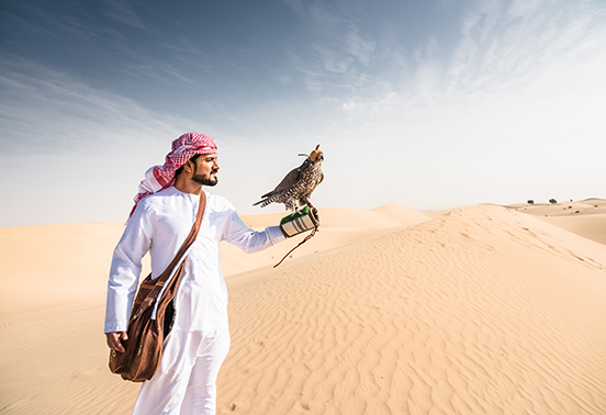 Arabian man holding bird