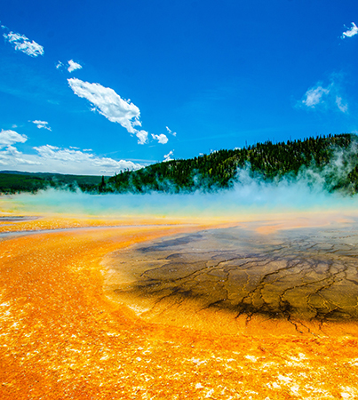 Yellowstone