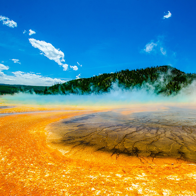 Yellowstone