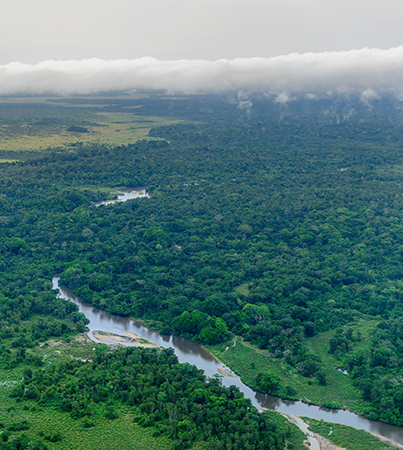 Congo Basin Ariel view