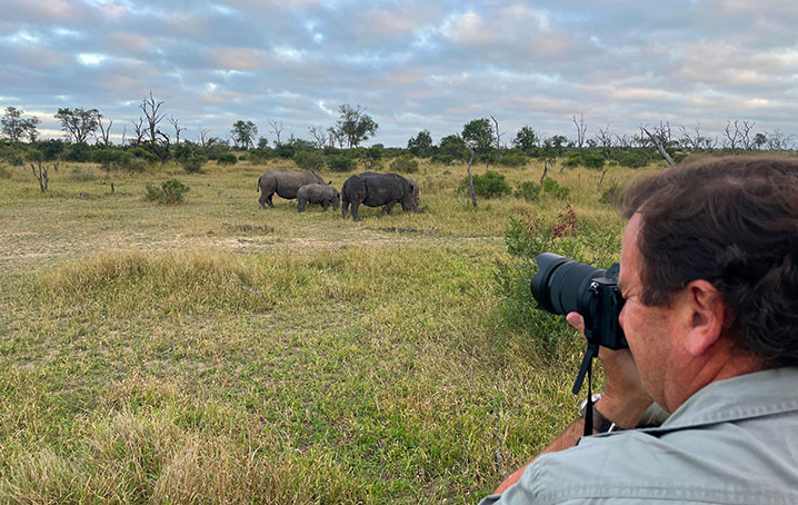 Person photographing elephants on safari