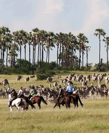 Horse Safaris in Wild Places
